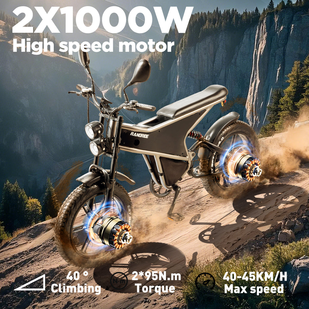 RANDRIDE DM711 20inch Electric Mountain Bike 2000W 20Ah Dual Motors Ebike with Rear Review Mirrors