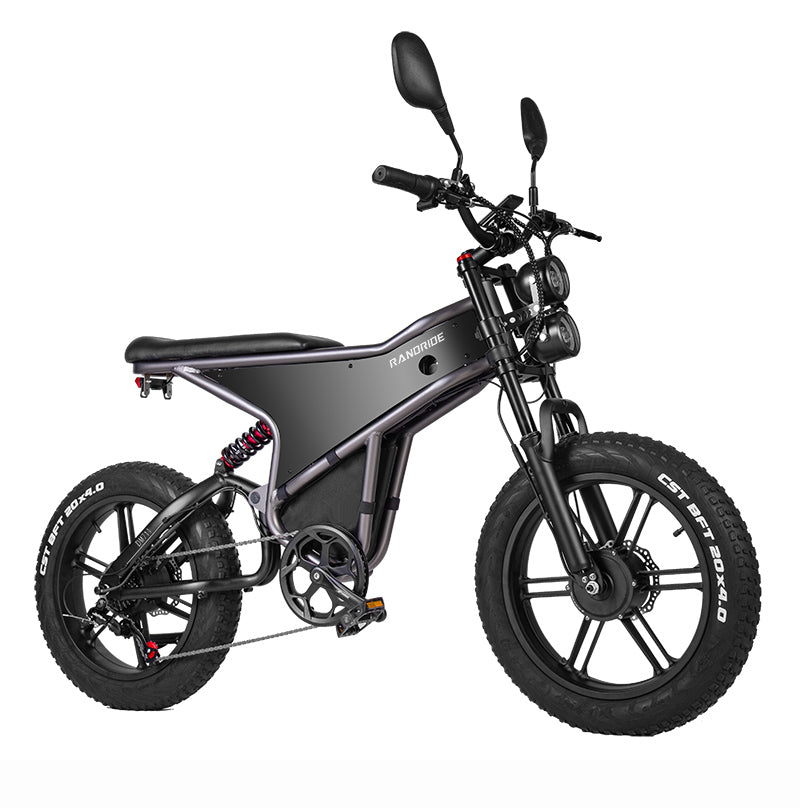 RANDRIDE DM711 20inch Electric Mountain Bike 2000W 20Ah Dual Motors Ebike with Rear Review Mirrors