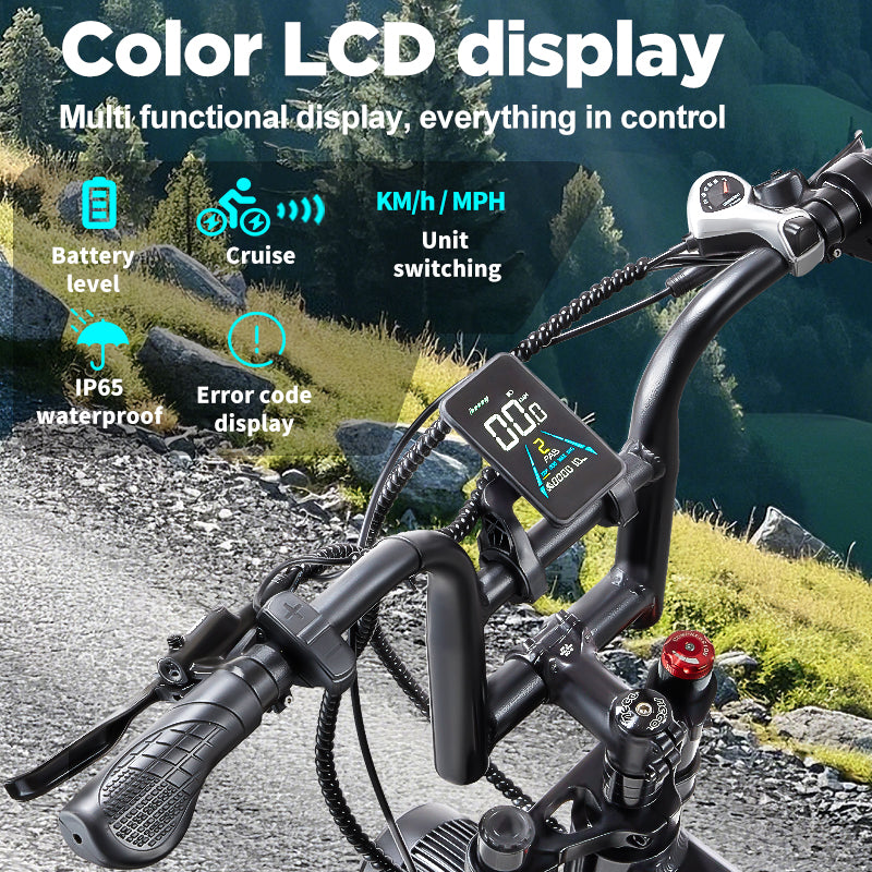 RANDRIDE YX20M PLUS Dual Motors 2000W 20Ah Folding Electric Bike with Hydraulic Brakes