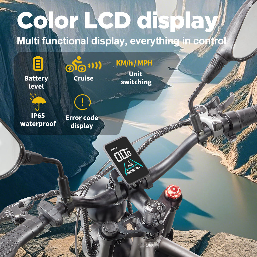 RANDRIDE DM711 20inch Electric Mountain Bike 2000W 20Ah Dual Motors Ebike with Rear Review Mirrors
