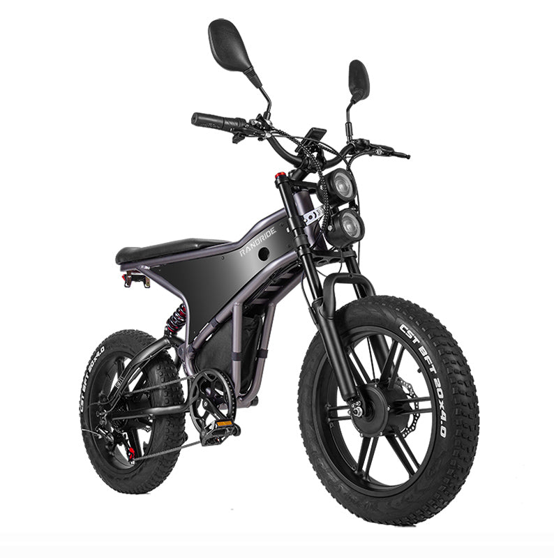 RANDRIDE DM711 20inch Electric Mountain Bike 2000W 20Ah Dual Motors Ebike with Rear Review Mirrors